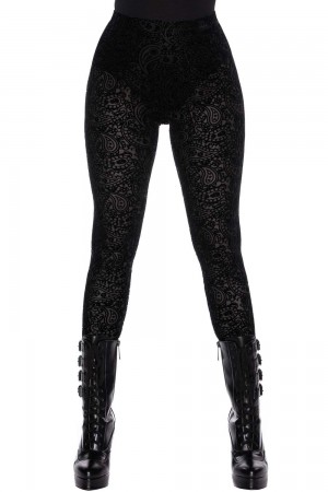 Killstar Althea's Evil Velvet Leggings Negros | 12345-VCAD