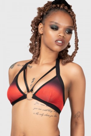 Killstar Dazzling Performance Bralet Rojos | 80294-RQSZ
