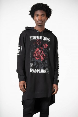 Killstar Dead Rose Hoodie Negros | 18926-MWBJ