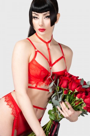 Killstar Harlow's Seduction Bra Rojos | 86574-XQKC