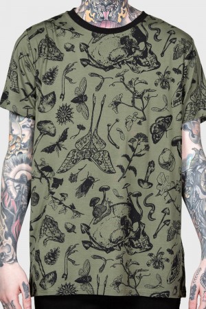 Killstar Mantodea T-Shirt Verdes | 53687-JYZS
