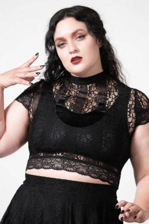 Killstar Moon Rays Encaje Crop Top Negros | 29731-JYGE
