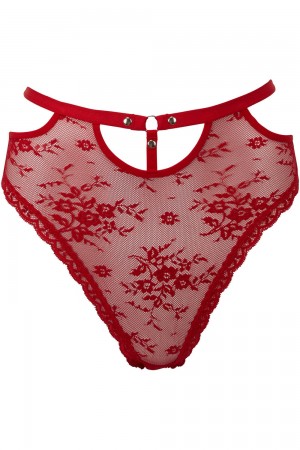 Killstar Sheer Evil Panty [SCARLET] Rojos | 75328-NTRH