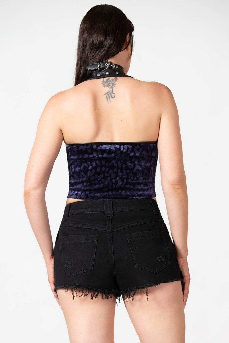 Killstar Alley Cat Halter Top [PLUM] Morados | 46781-GNCL