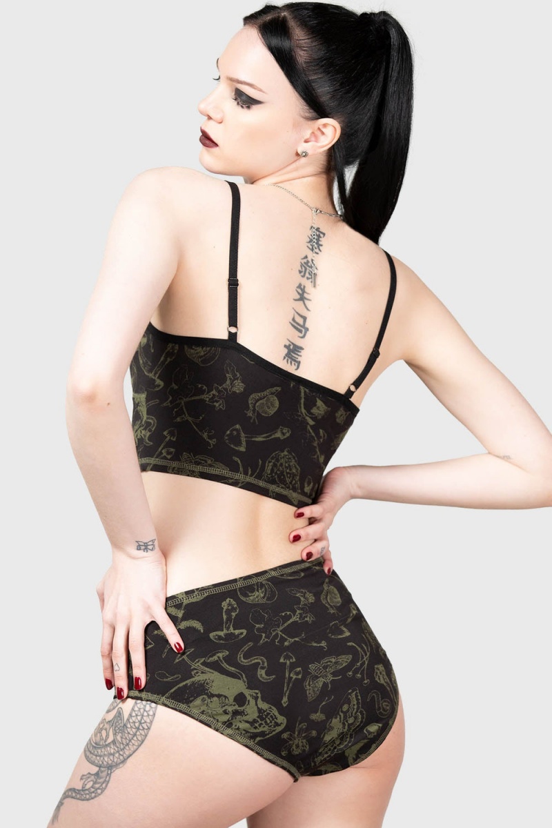 Killstar Forest Lush Panty Negros | 49316-NBQJ