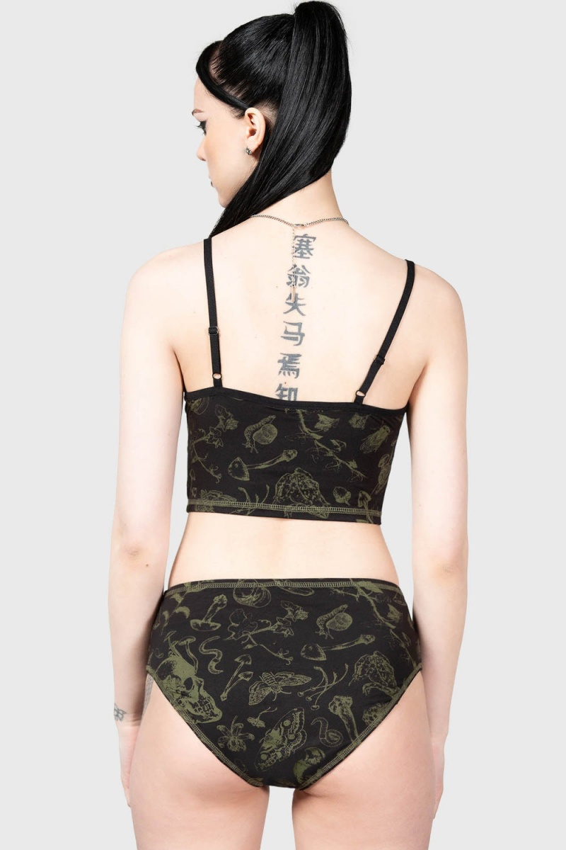 Killstar Forest Lush Panty Negros | 49316-NBQJ