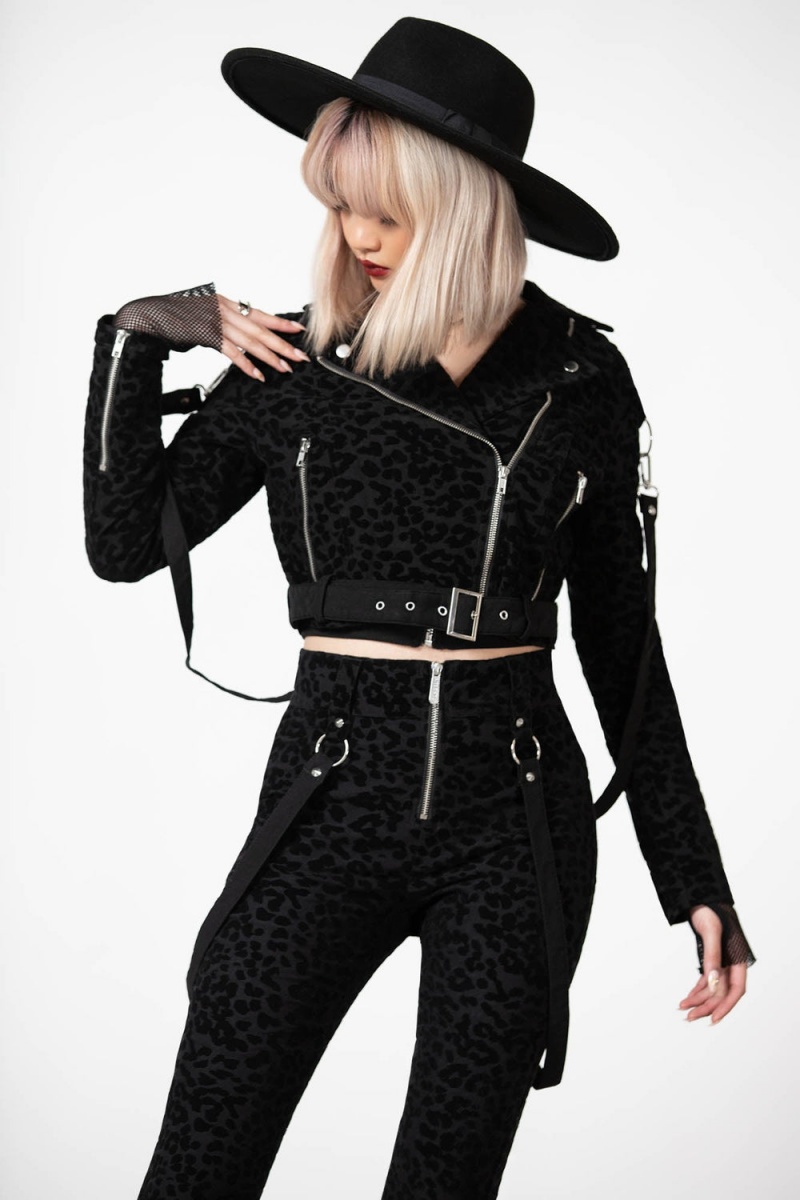 Killstar Hellcat Zip Trousers Negros | 74813-EZYH