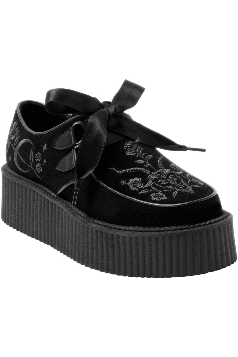 Killstar Luci-Fairy Creepers Negros | 32561-RLYG