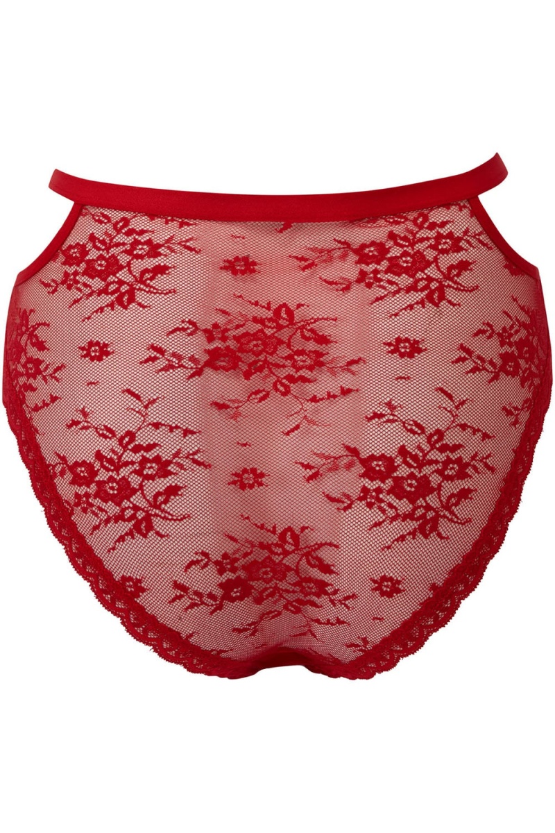 Killstar Sheer Evil Panty [SCARLET] Rojos | 75328-NTRH